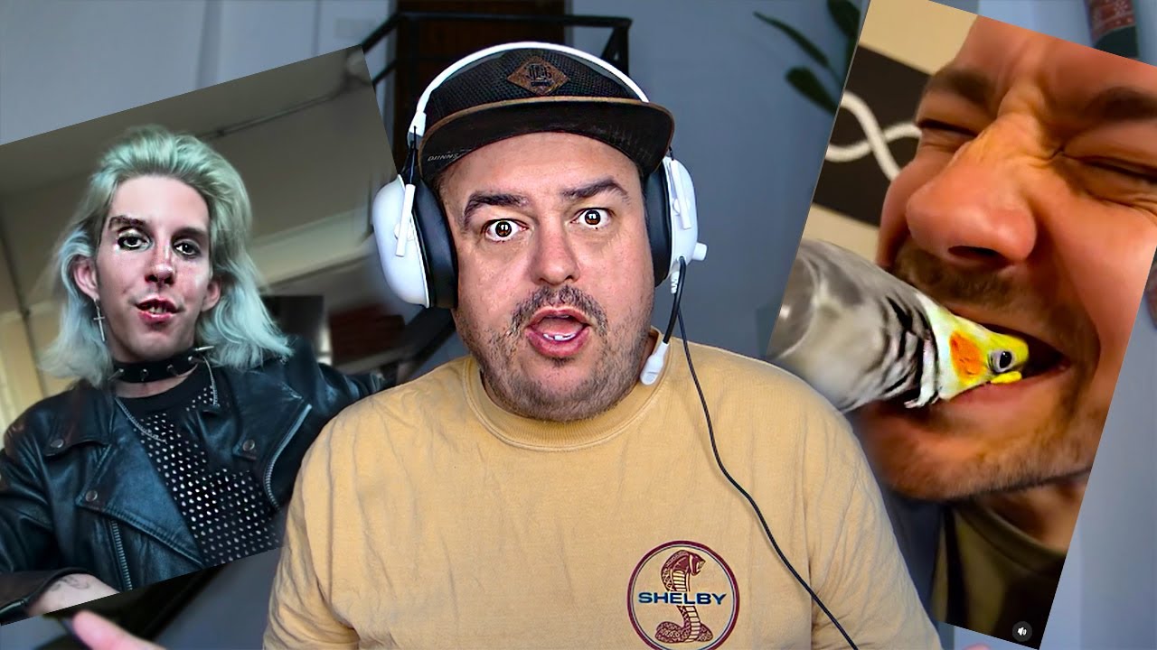 Daz Watches Don’t Laugh Or Flinch