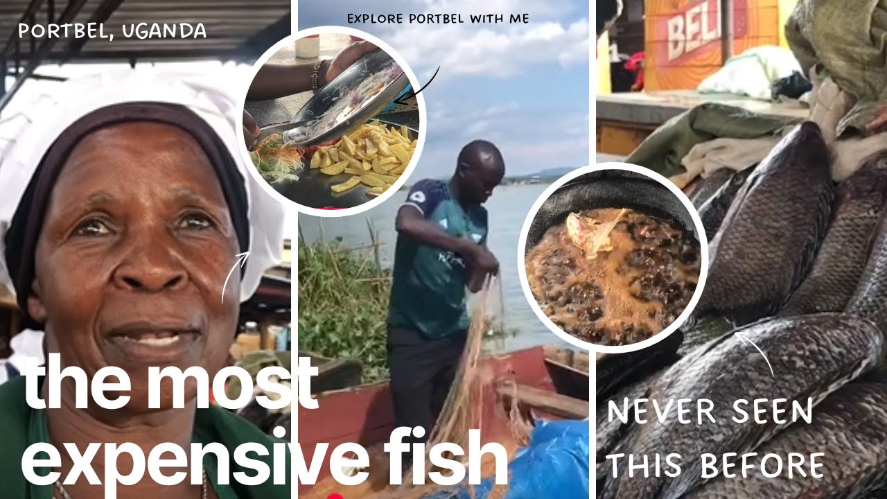 You won’t believe what I discovered, as I tried to buy fish at Portbel Lake Victoria, Uganda 🇺🇬