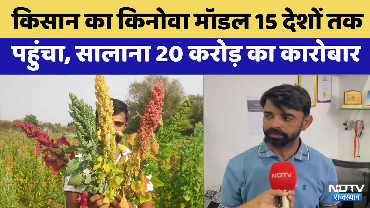 Jalore के Farmer का Quinoa Model 15 देशों तक पहुंचा | Rajasthan Top News | Quinoa Benefits