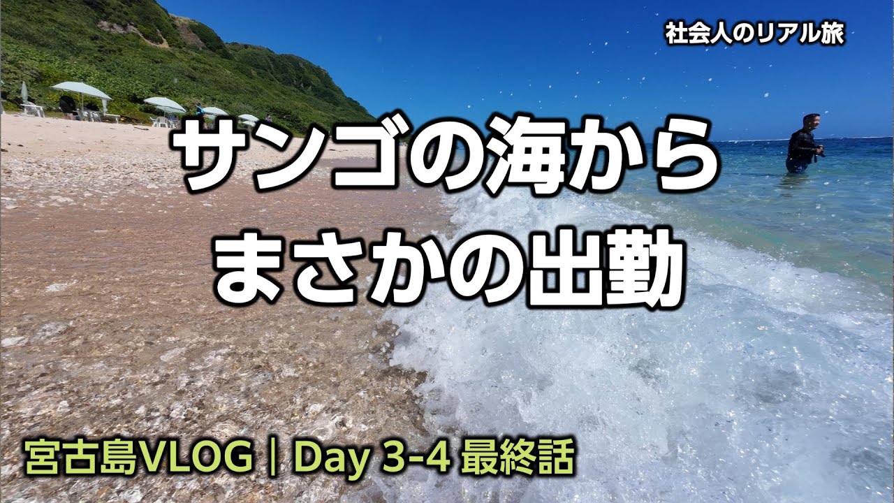 宮古島からエキストリーム出勤｜社会人の旅 宮古島VLOG Day 3-4 最終話【2025年9月】