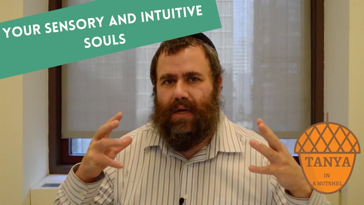 Tanya in Nutshell: Chapter 1 - Your sensory and intuitive souls
