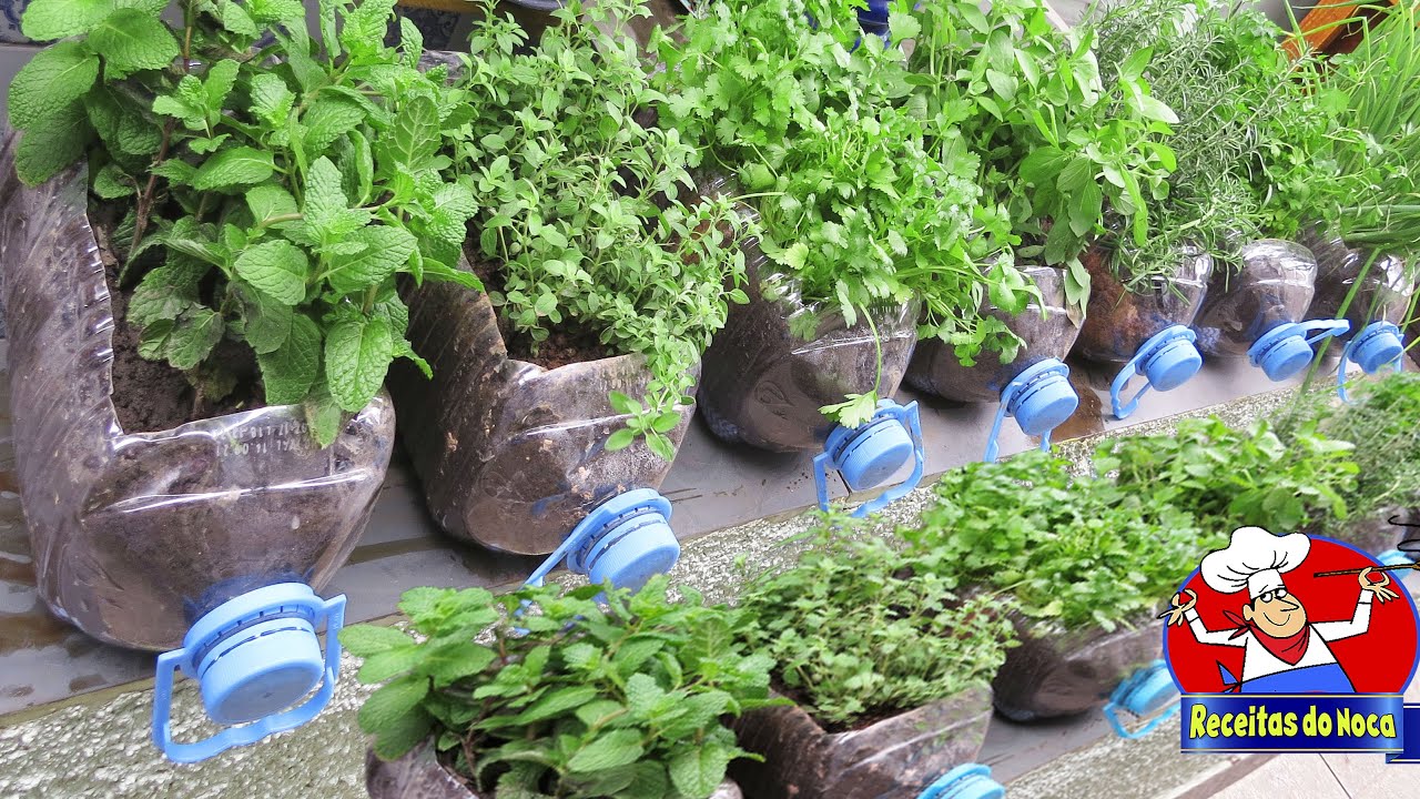 🌱HORTA COMPLETA na GARRAFA PET
