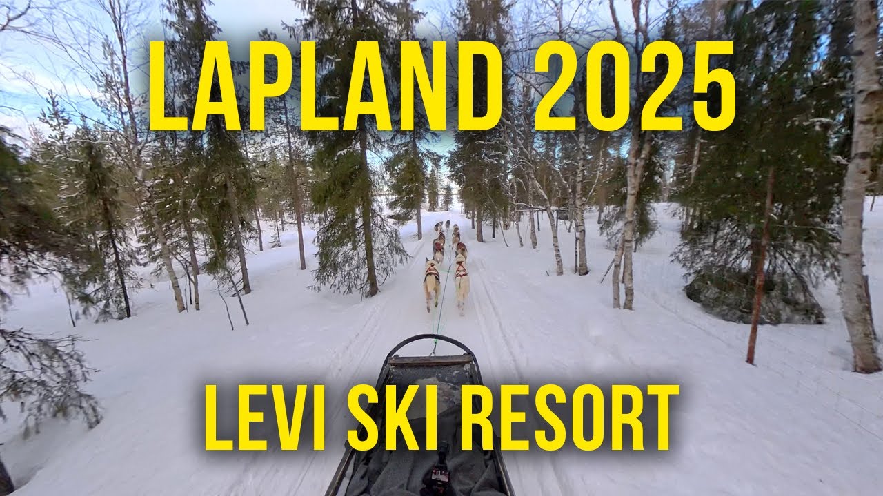 Lapland 2025 in Levi Ski Resort Finland February 2025 #crazyreindeer #lapland #levi #winterwedding