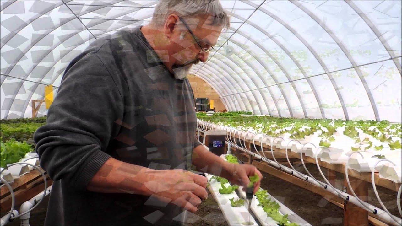 SPRING HILL FARMS TROUT CREEK HYDROPONIC LETTUCE HOUSE UPDATE