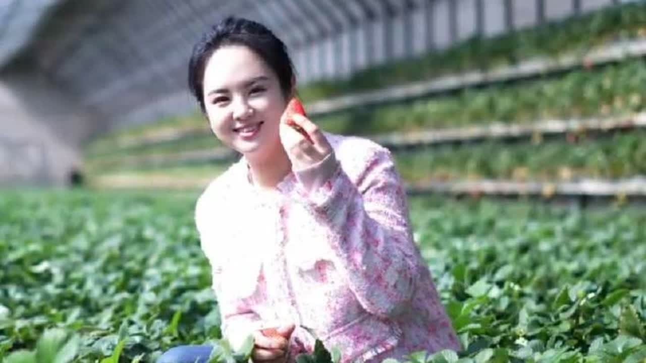 庄河：从田间走向世界的“莓”力传奇 #庄河 #草莓 #草莓采摘园 #摘草莓 @DOU+上热门 @抖音小助手