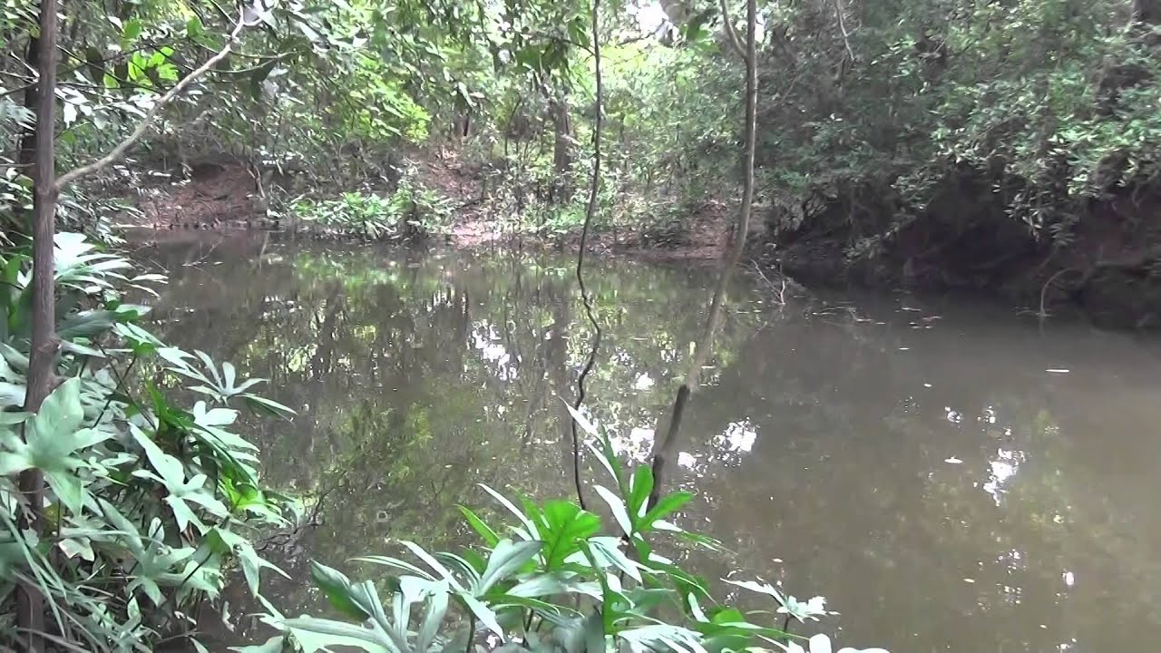 Land of the Lord Buddha බුදුරජාණන් වහන්සේගේ පින් බිම.