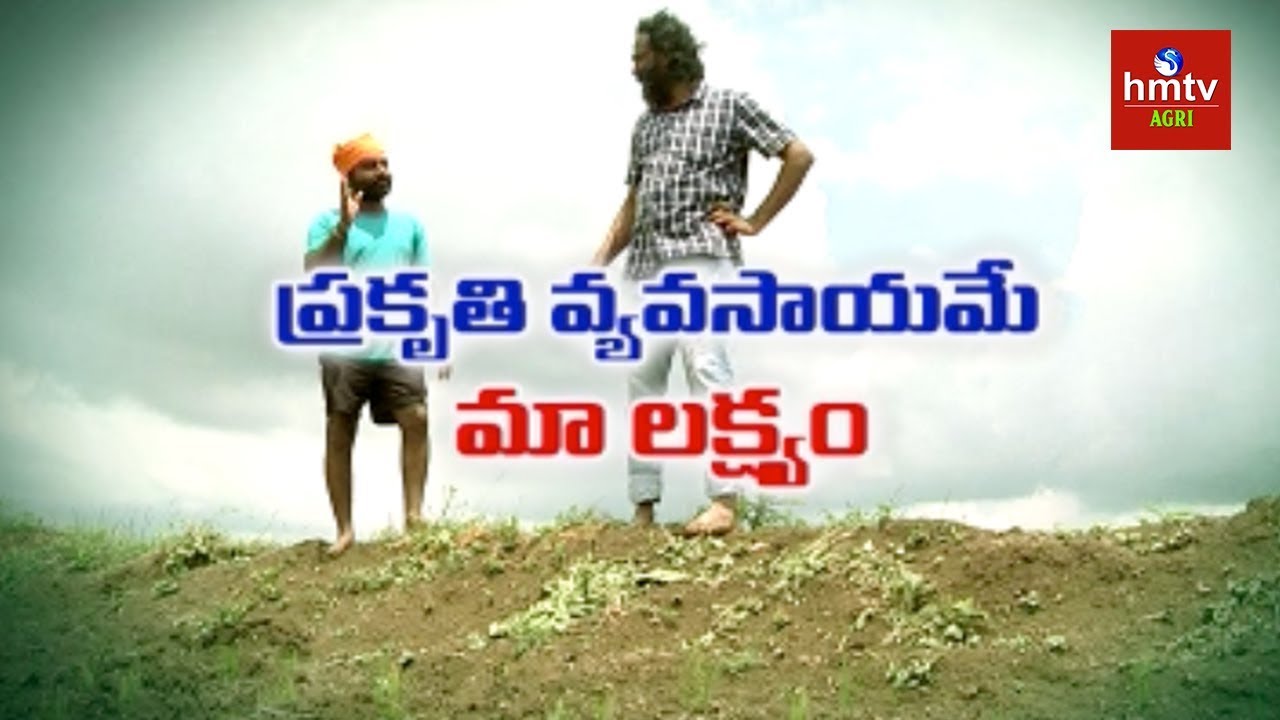 Young Farmers Success Story in Natural Farming | అంతర్ పంటల ద్వారా అదనపు ఆదాయం | hmtv Agri