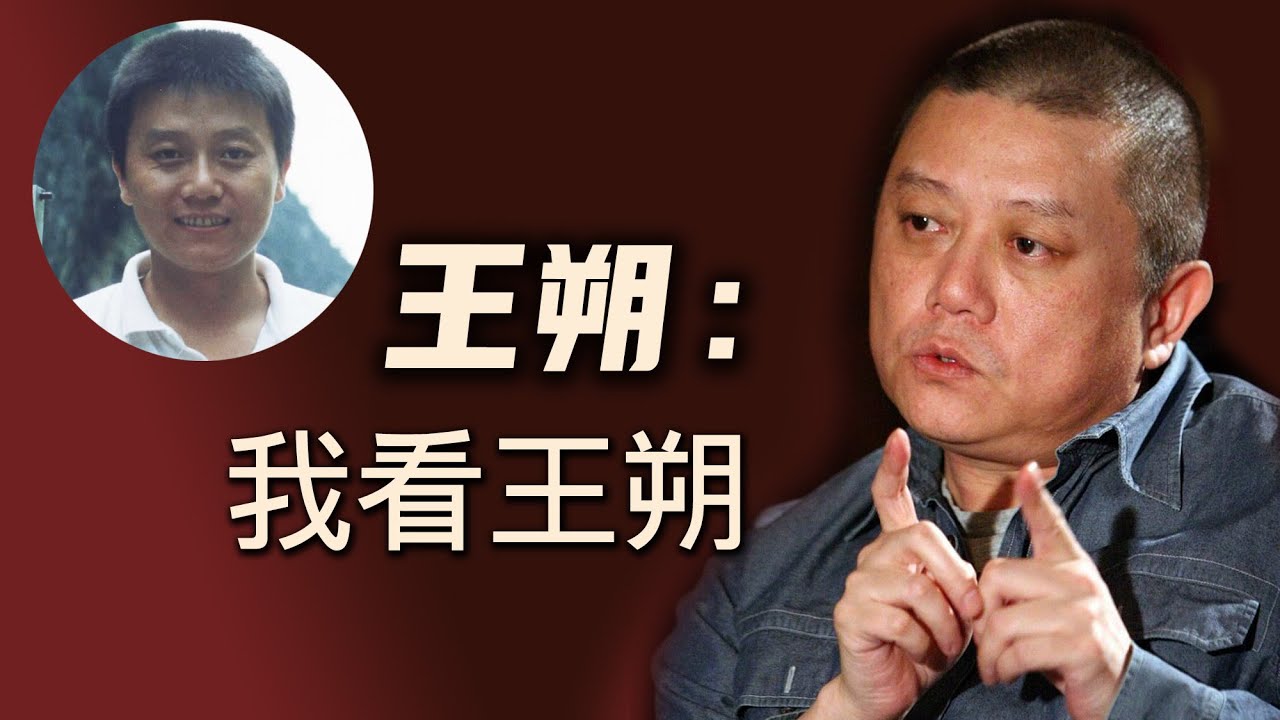王朔：我的自我批评，我看王朔，点评王朔小说，起底王朔发家史