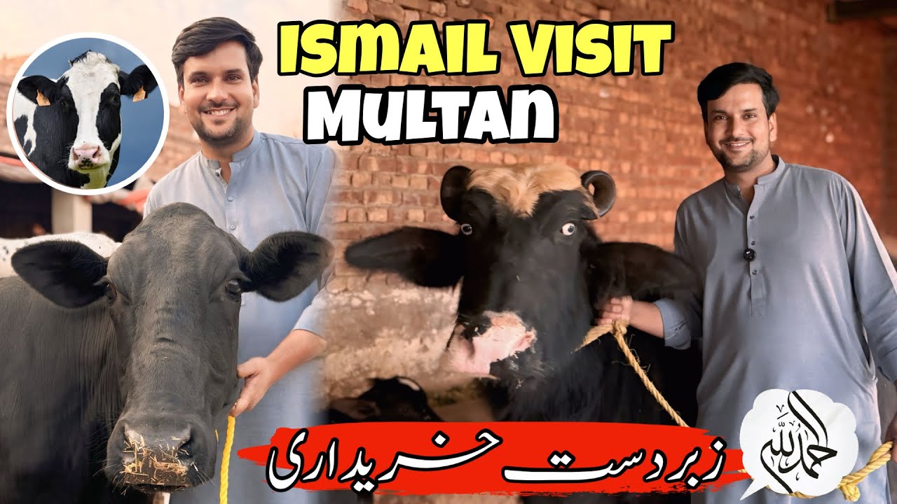 Ismail Jutt Visit  Multan زبردست خریداری
