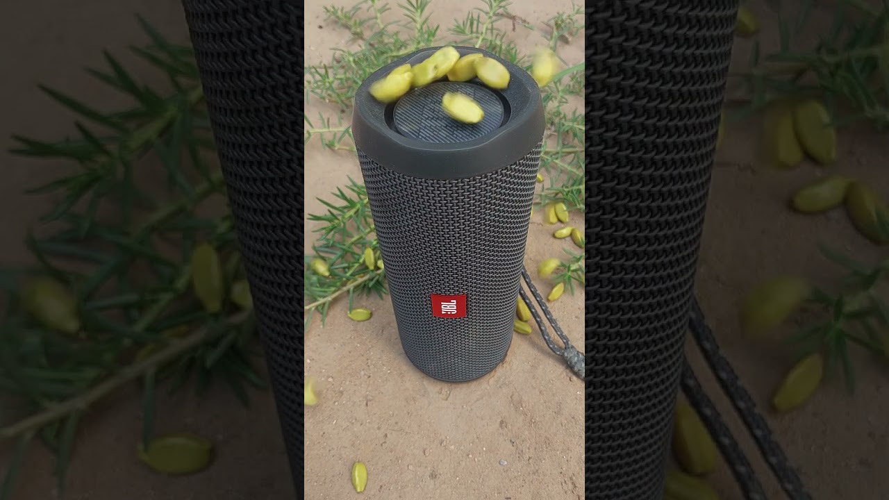 Jbl Bass Test With Sea Pearl  🔊#asmr #jbl #jblbasstest