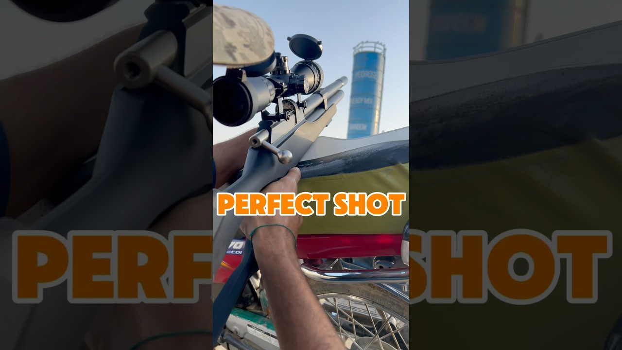 🎯 70-Yard Pigeon Hunt with M-25 PCP Air Rifle 🐦🔥 #shorts