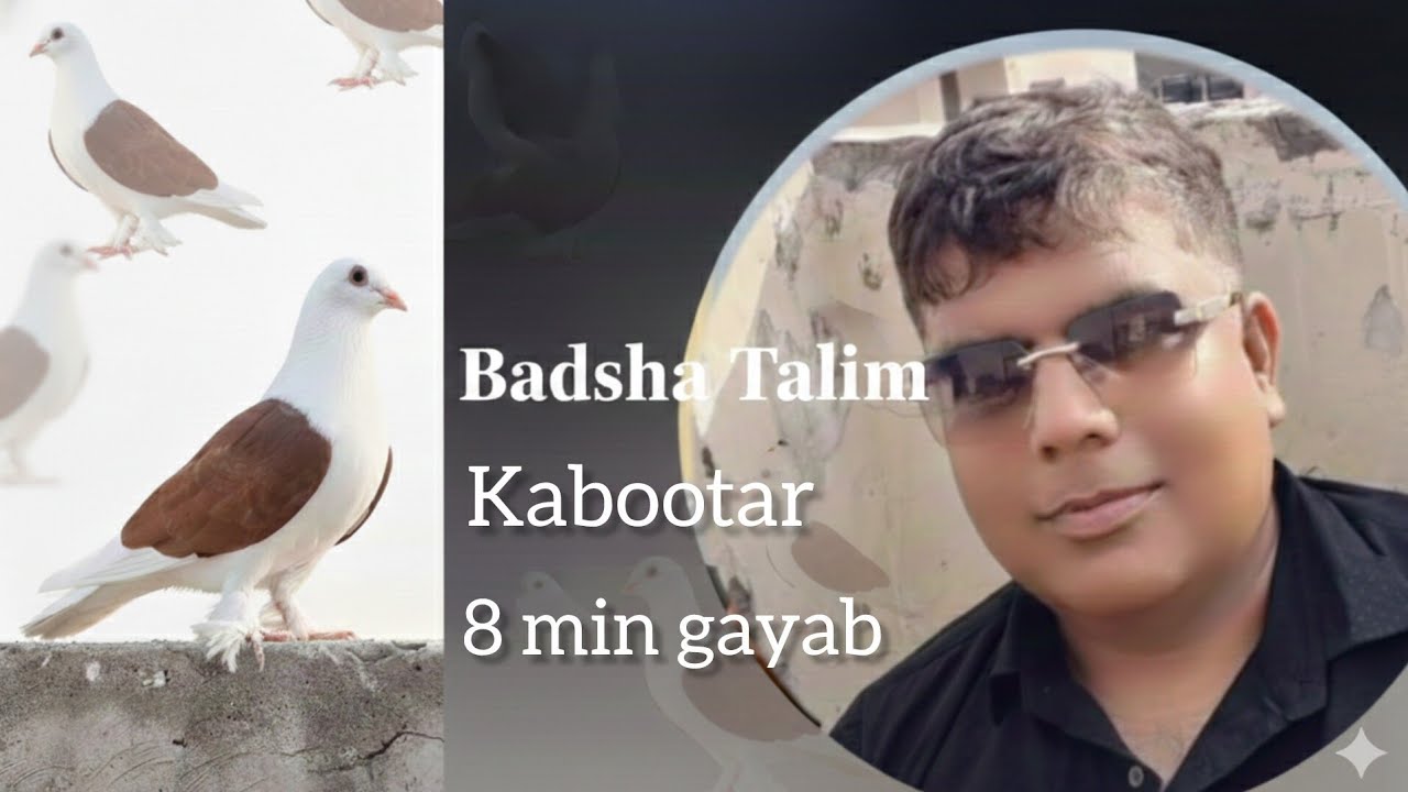 Uatd badsha talim mojuda ustad Parvez se tabrez bhai ka kabootar 8 min ke liye fana lapata 