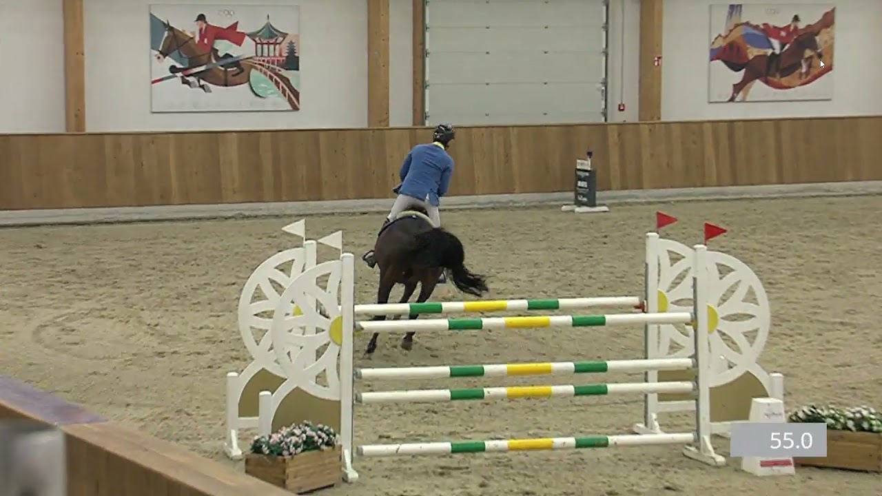 D'Aganix 2000 Z- Dominator Z x Aganix du Seigneur- Youngster Cup 7j CSI2  Riesenbeck 2021