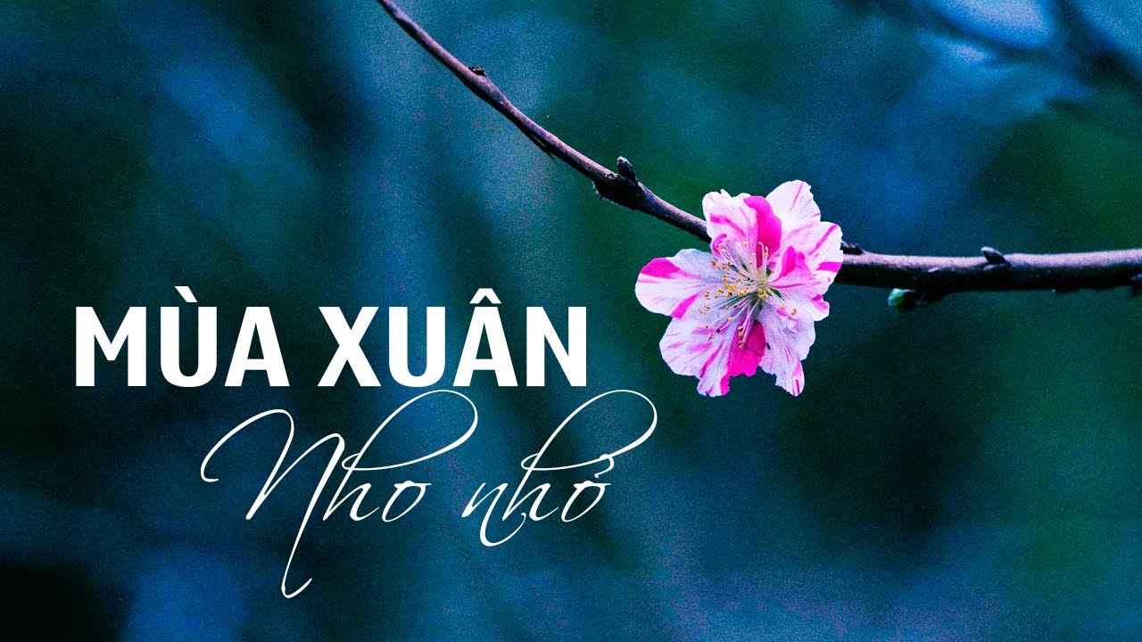 Phân tích bài thơ Mùa xuân nho nhỏ (Thanh Hải) | Văn Mẫu 9