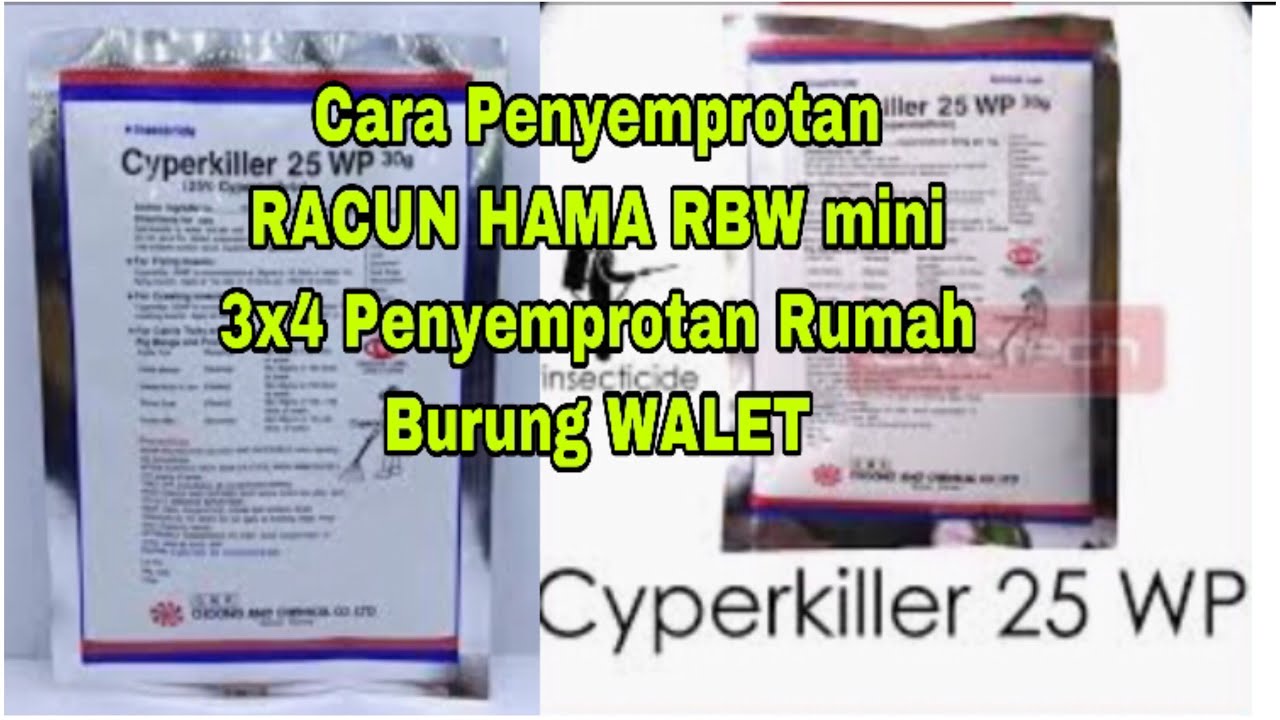 Cara Penyemprotan Racun hama RBW mini sangat mudah dengan menggunakan cyperkiller