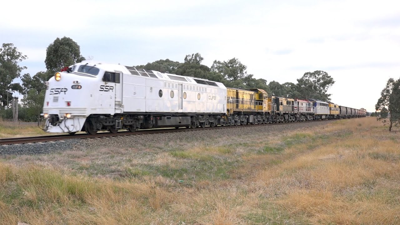 SSR Grain Train Cootamundra to Ardlethan