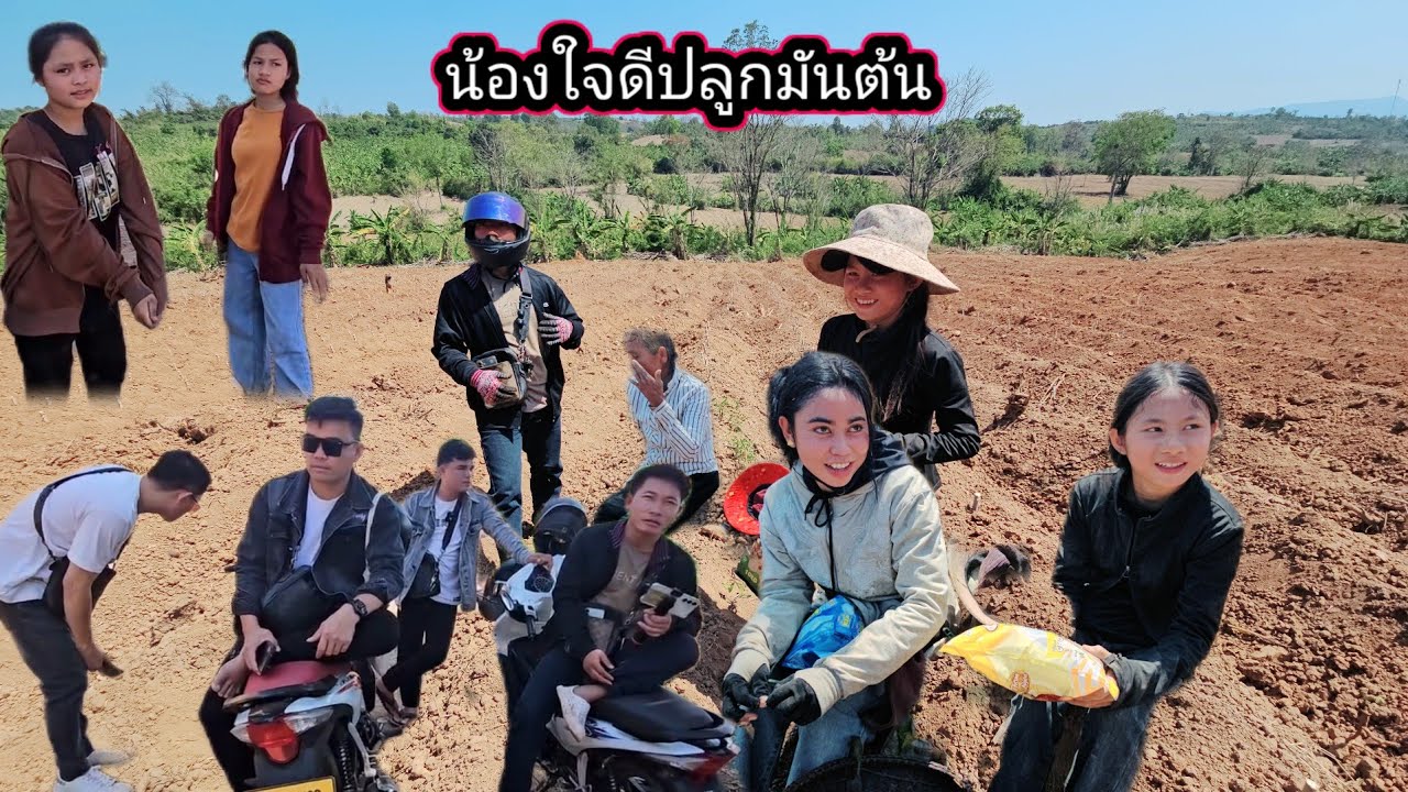 บุกสวนมันน้องใจดี แขนขา เรี่ยวแรงแทบหมด น้องใจดีขยันมาก 21 กุมภาพันธ์ ค.ศ. 2026