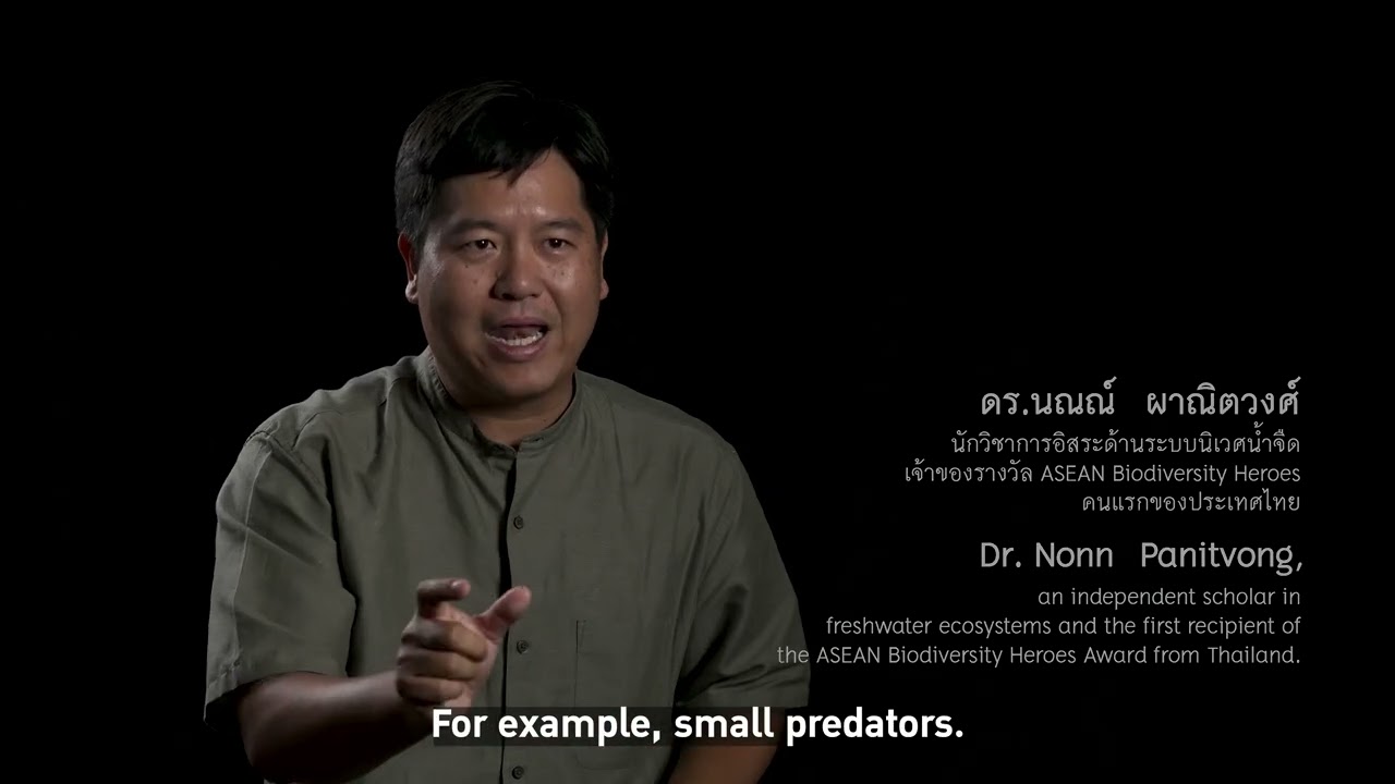 สารคดีชุด ผืนป่ามรดกโลก “ทุ่งใหญ่นเรศวร-ห้วยขาแข้ง” ตอนที่ 3 - ระบบนิเวศป่าต้นน้ำ
