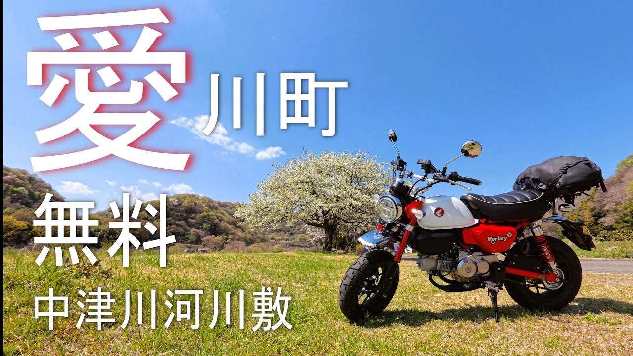 愛が無料!?│Hondaモンキー125│純正ノーマルを楽しむ│40代おじの休日