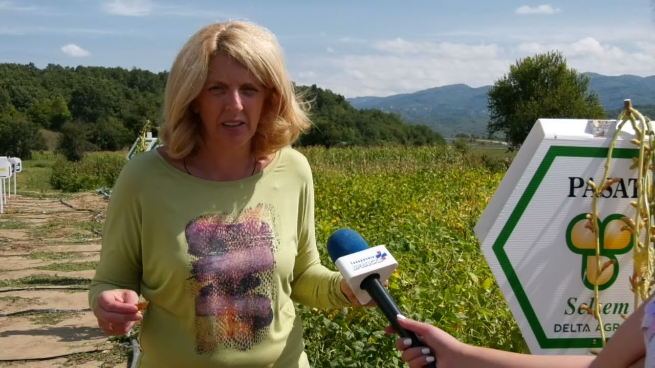Dobar prinos soje - očekivanja poljoprivrednih proizvodjača 10 09 2021