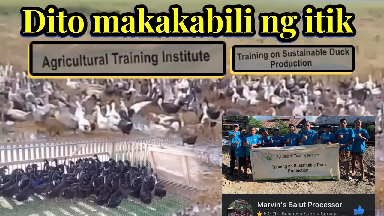 Dito makakabili ng itik