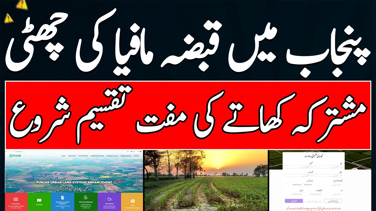 Mushtarka Khata Ka Azaab Khatam | Punjab Govt Ka Bara Qadam | Land Taqseem Ka Asaan Tareeqa