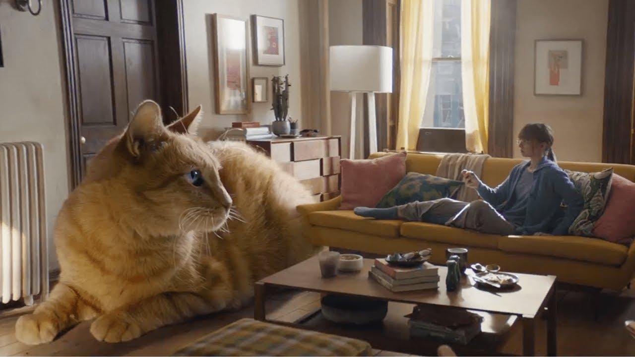 The 10 Biggest Cats In The World
