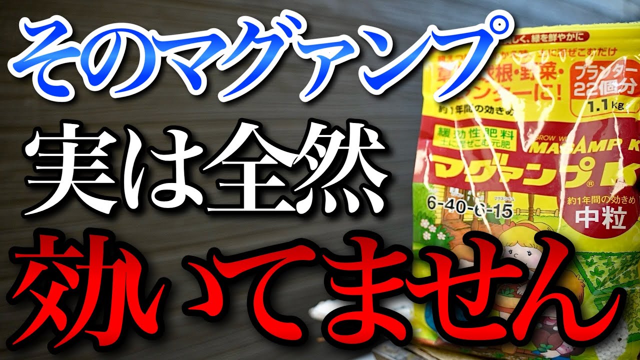 【知らないとマズい】その使い方だとマグァンプK、実は全く効いてません