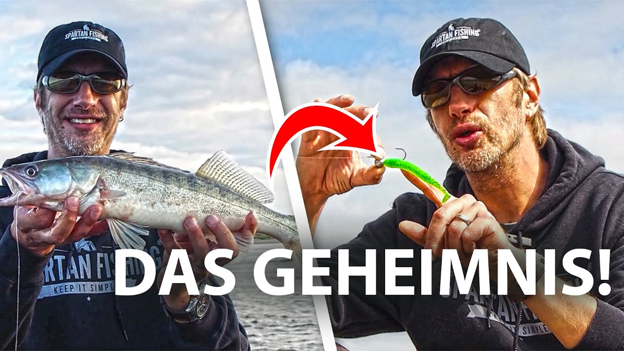 Zander FANGEN war noch NIE so leicht! DAS macht den Unterschied!