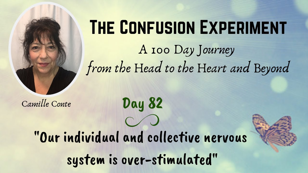 Day 82: The Confusion Experiment - 