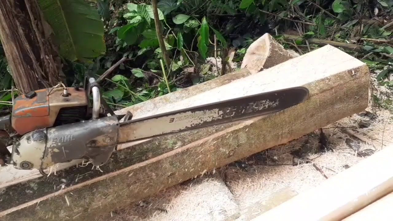 Teknik belah kayu, khusus untuk bahan bangunan #belahkayu #sensowerindonesia