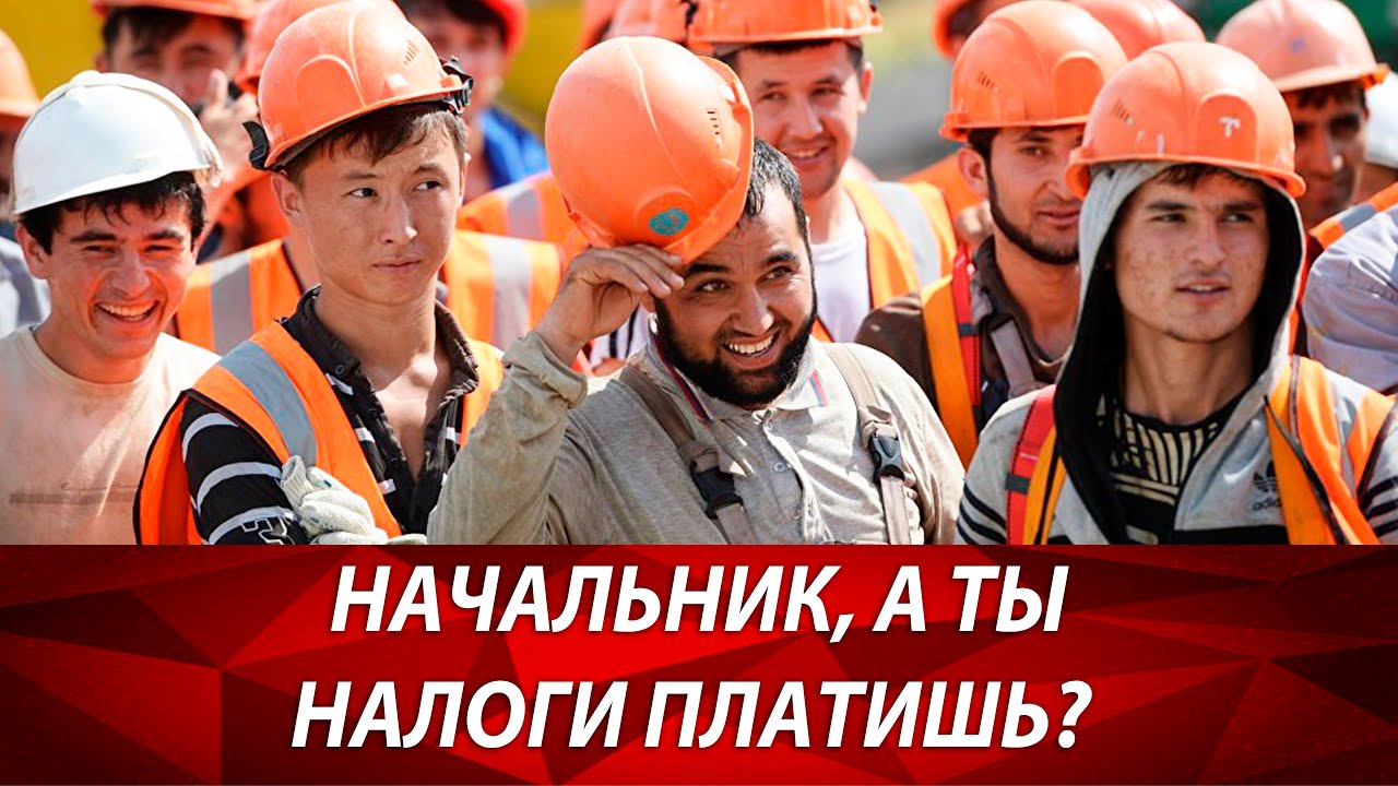 Как платить налоги строителям? ИП или ООО для строительства открыть? Налогообложение для строителей