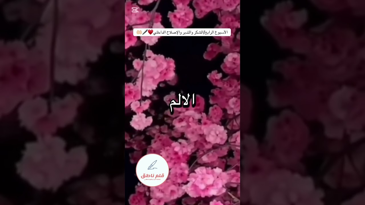 رحلة الشفاء 13