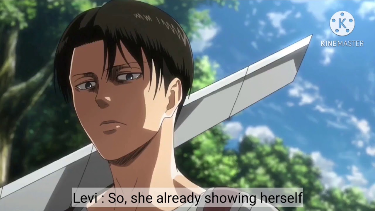 Levi Ackerman x Y/n_Steal_My_Girl pt.2