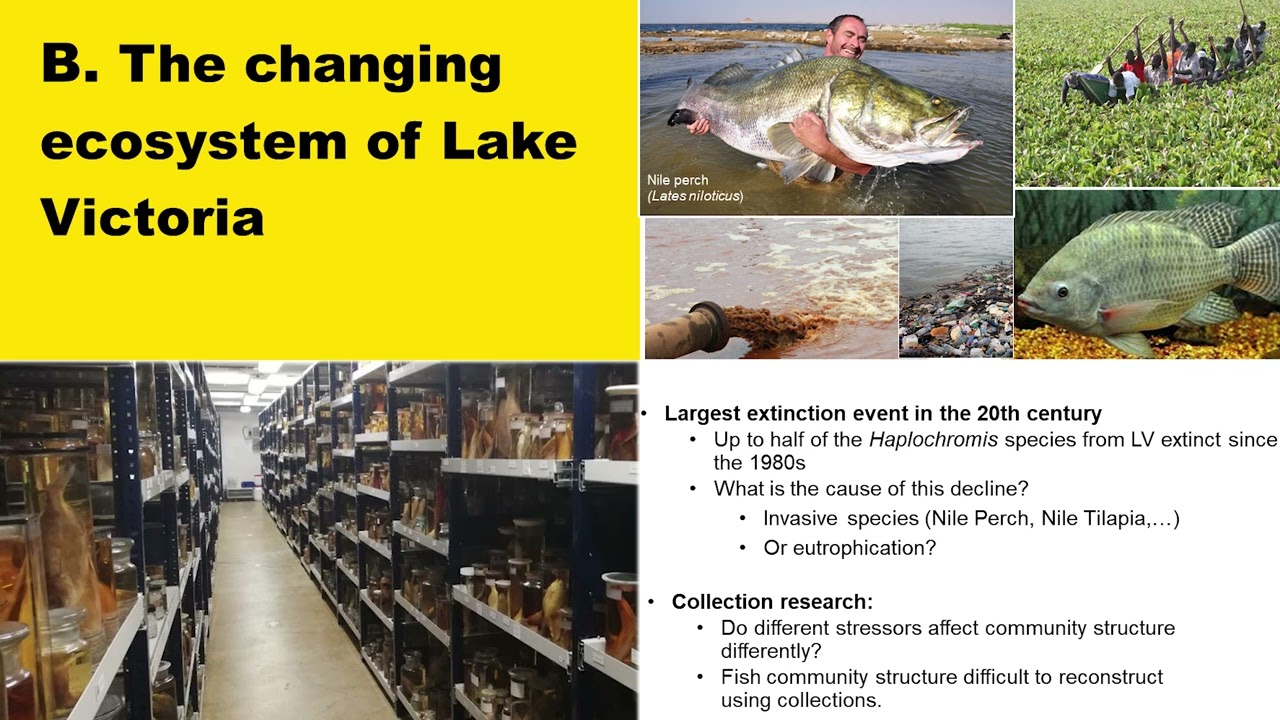 The changing ecosystem of East Africa’s Mare Nostrum - Maarten Van Steenberge