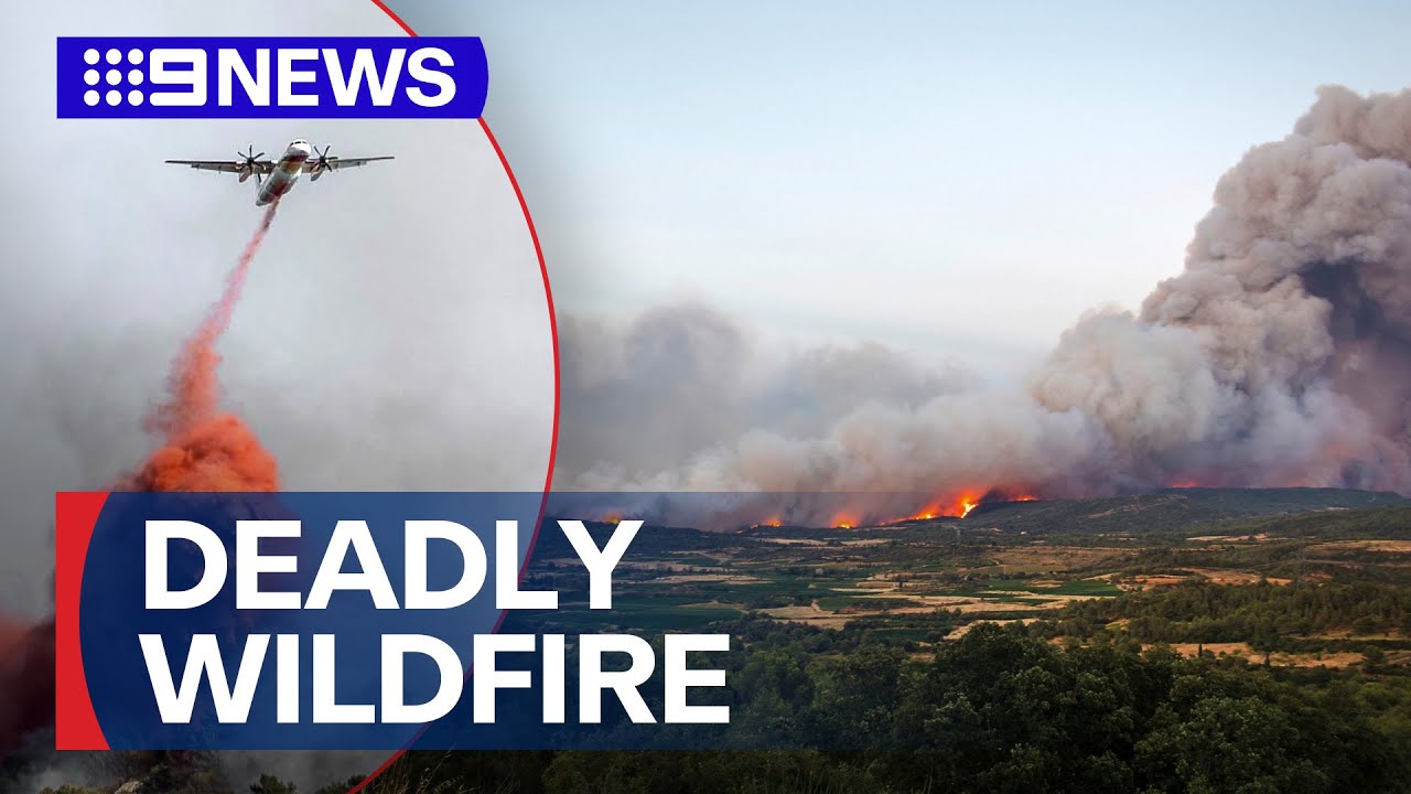 Thousands evacuate as huge wildfire tears through southern France | 9 News Australia