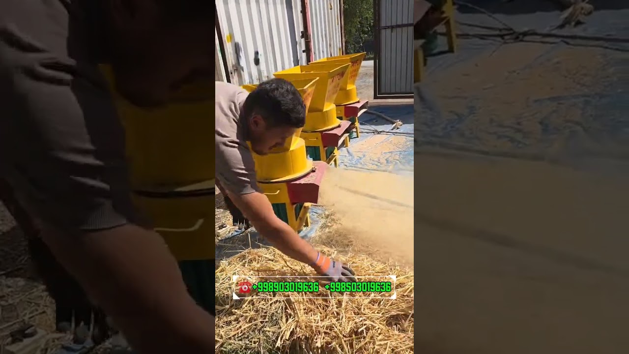 Tayfun drobilkalari Sifat va kafolat uyg&lsquo;unligi