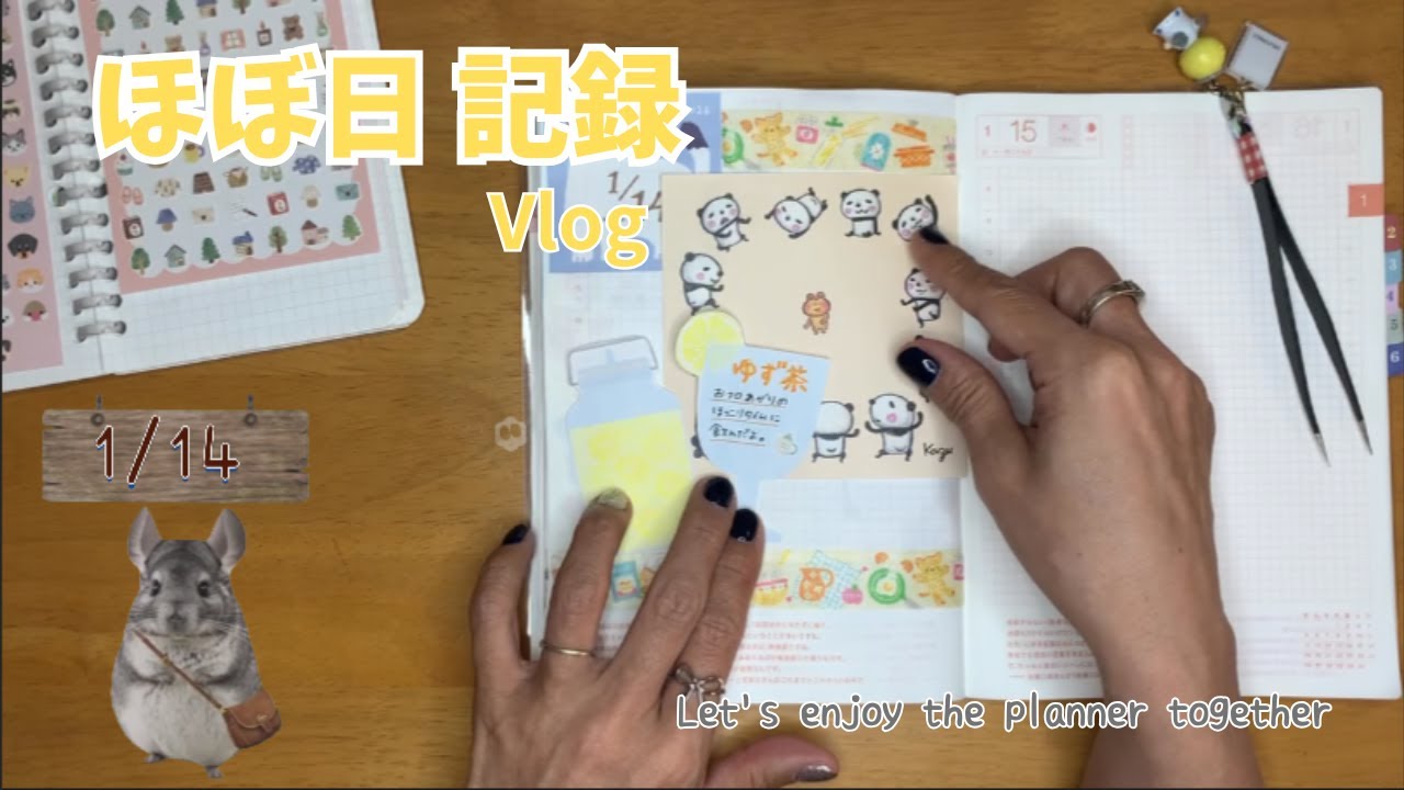 今日の手帳時間｜1/14 日記Vlog｜MYリスト100を考える