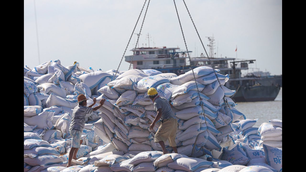 China Reaches US Soybean Target Set in Trade Truce