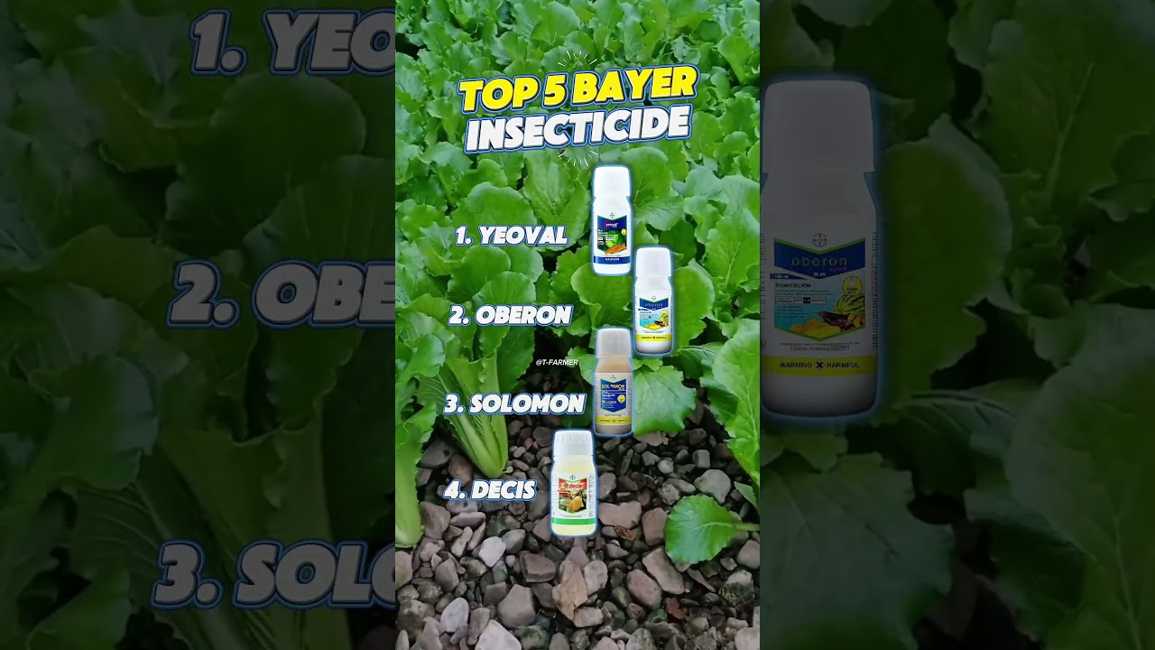 TOP 5 BAYER INSECTICIDES | #agriculture #bayer #insecticides #farmers #pesticides #t-farmer
