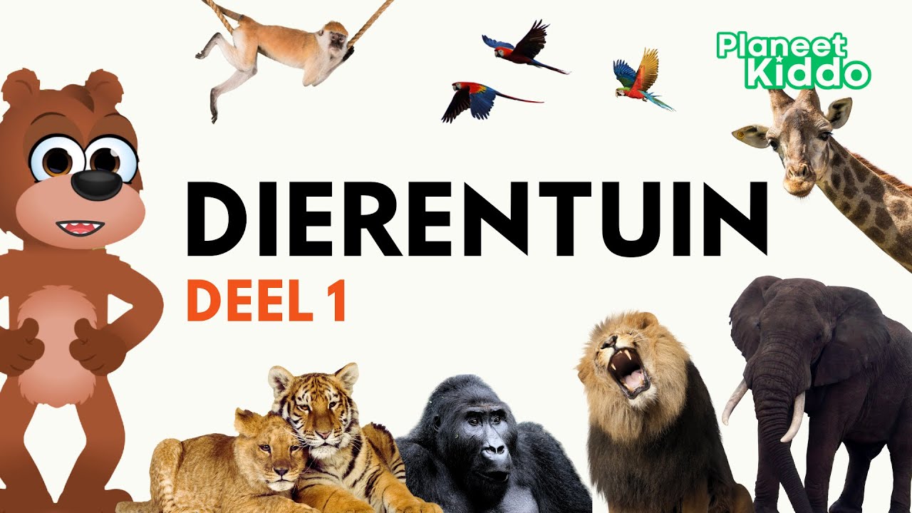 🐅 Dierentuin Dieren Leren In Het Nederlands | Voor Peuters En Kleuters | Learn Zoo Animals in Dutch