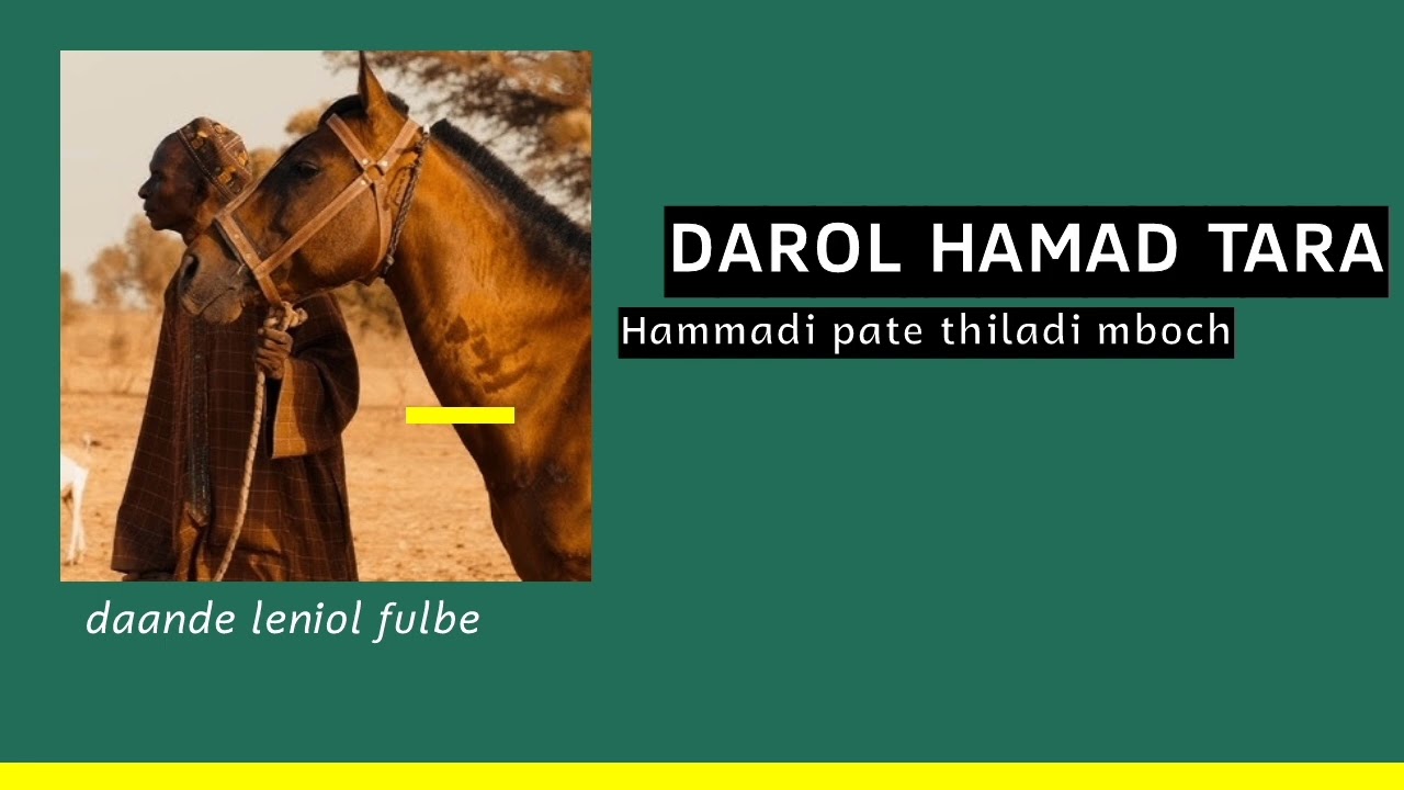 Darol Hamad Tara _Hammadi pate thiladi mboch ( interesting story )