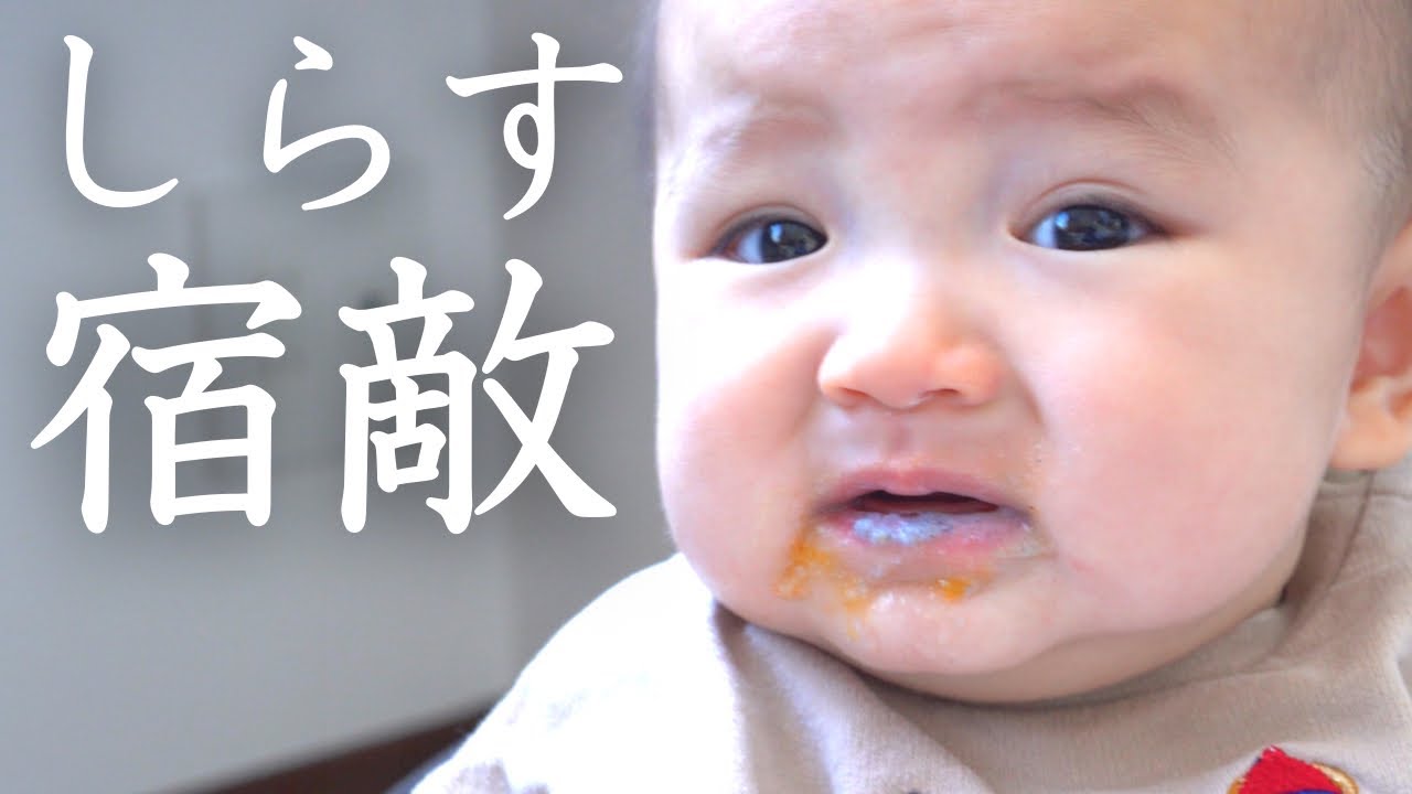 【離乳食】初しらす！ご飯に隠して食べさせるもバレバレ