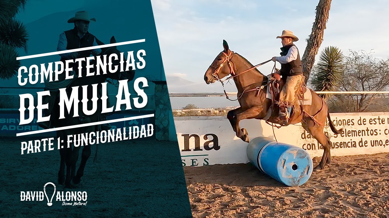 Competencias de Mulas - Parte 1: Funcionalidad