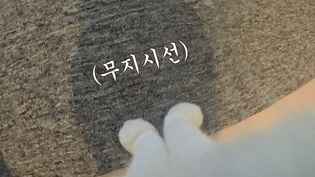 고양이가 직접 찍은 고양이 1인칭 브이로그 ⭐️