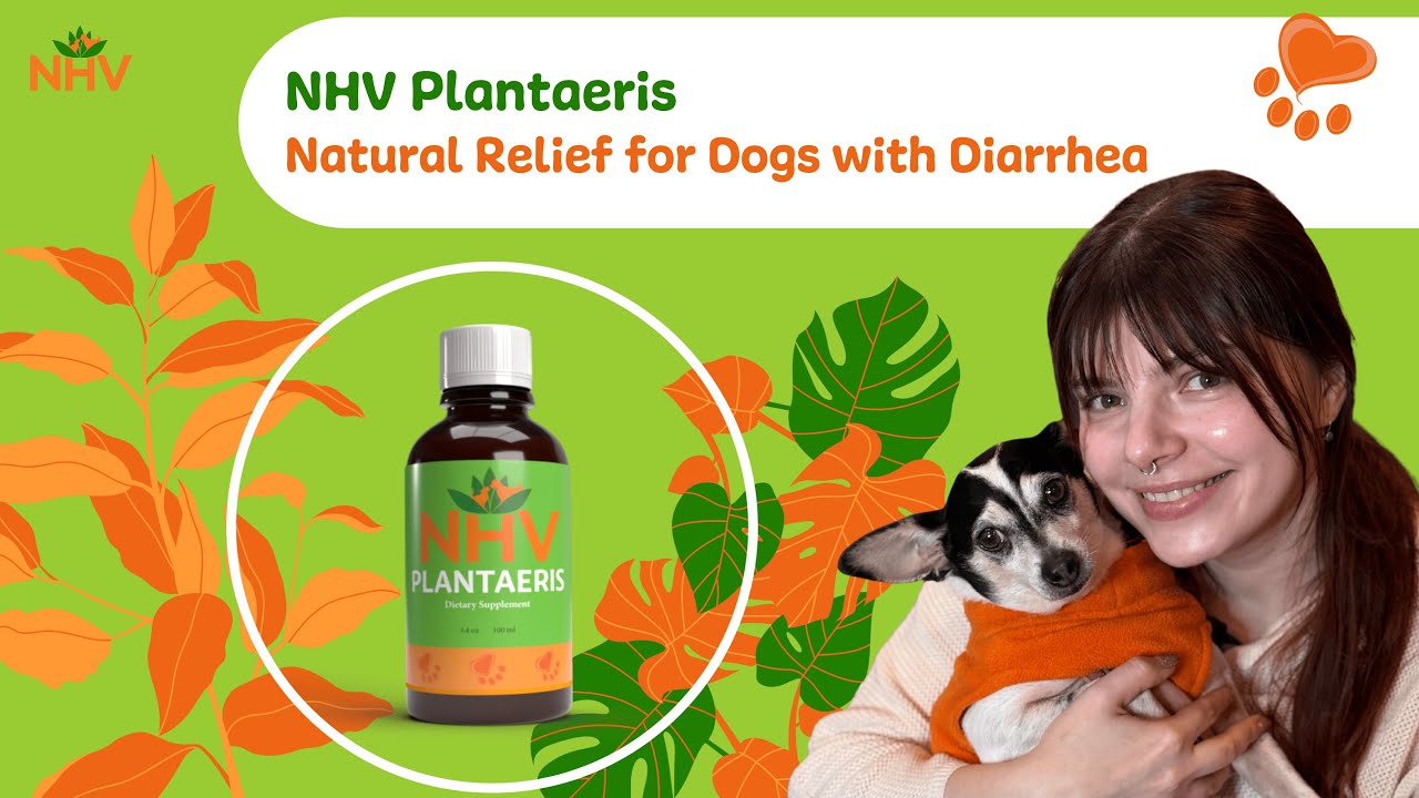 NHV Plantaeris | Натуральная поддержка кишечника для домашних животных 🌿