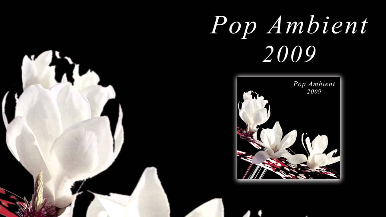 Sylvain Chauveau - Nuage Iii 'Pop Ambient 2009' Album