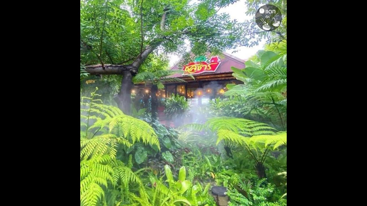 ชลธาร สวนอาหารบรรยากาศป่าดงดิบ ร้านเด็ดนครปฐม