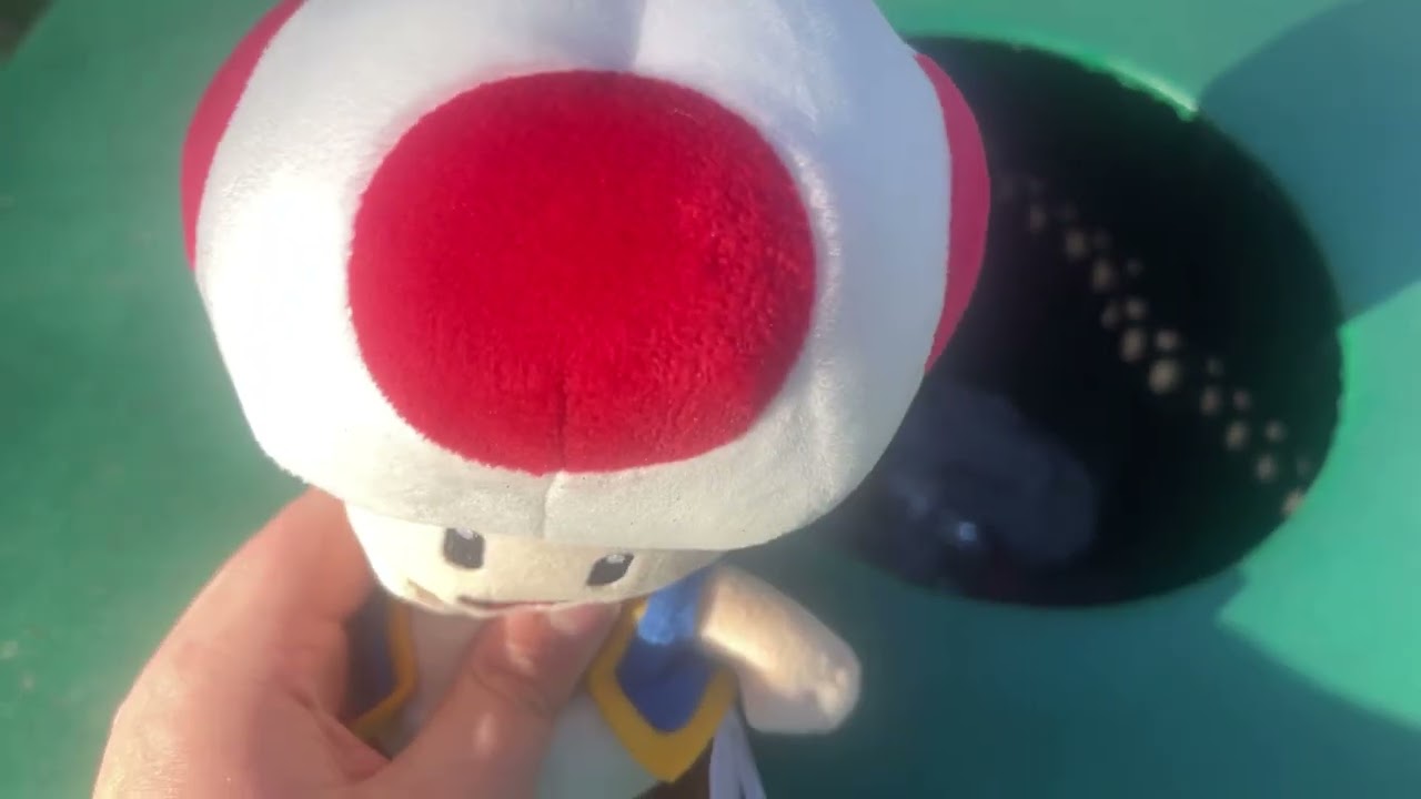 TOAD’S DAILY ROUTINE!!!