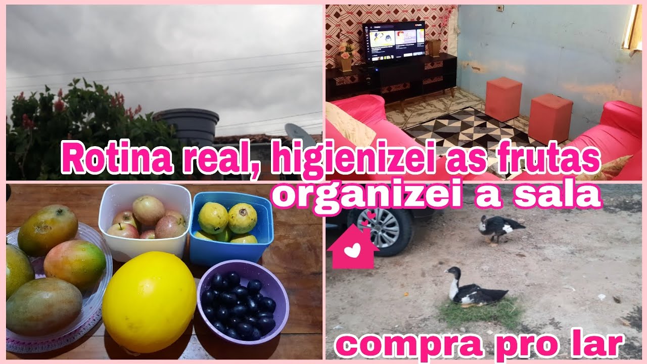 ROTINA REAL DO LAR SENDO MÃE DE 3 GRAVIDA| HIGIENIZEI AS FRUTAS| ORGANIZEI A SALA| FIZ EXAMES 🤰🏡